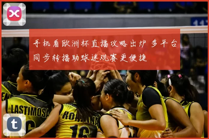 手机看欧洲杯直播攻略出炉 多平台同步转播助球迷观赛更便捷