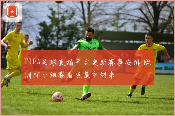 FIFA足球直播平台更新赛事安排 欧洲杯小组赛看点集中到来