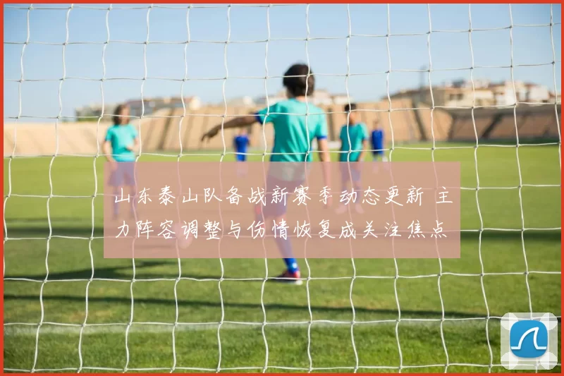 山东泰山队备战新赛季动态更新 主力阵容调整与伤情恢复成关注焦点