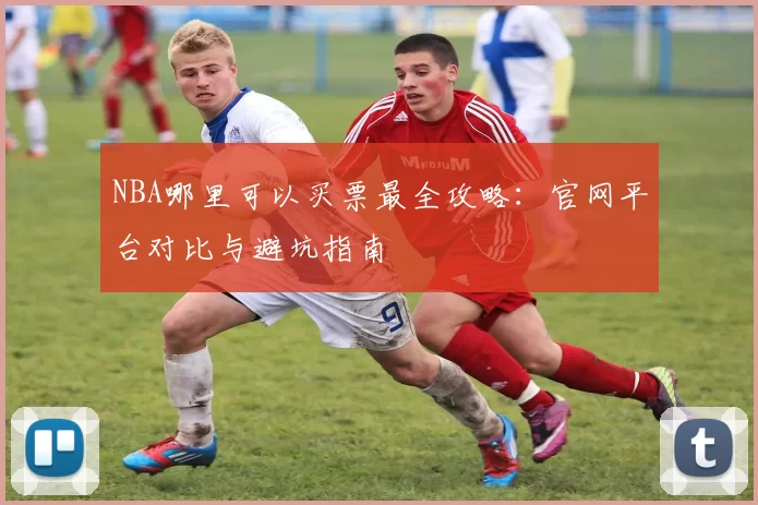 NBA哪里可以买票最全攻略：官网平台对比与避坑指南