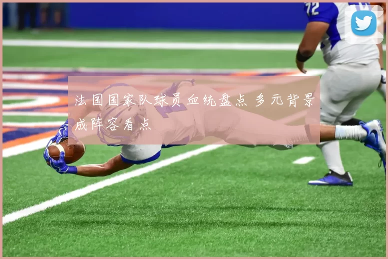 法国国家队球员血统盘点 多元背景成阵容看点