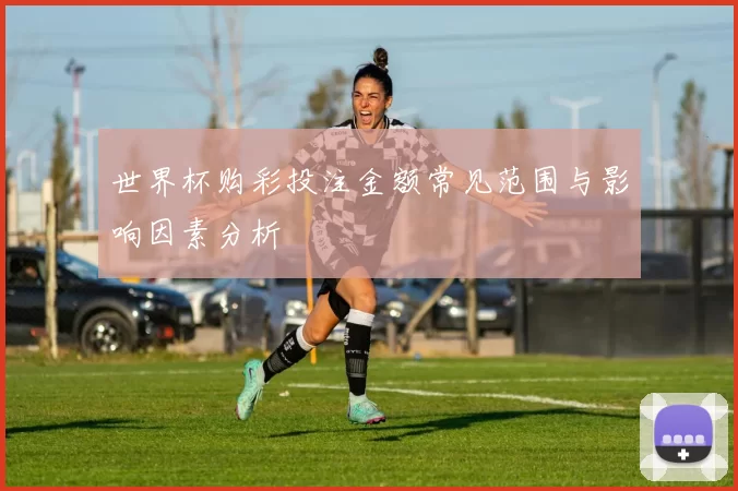 世界杯购彩投注金额常见范围与影响因素分析