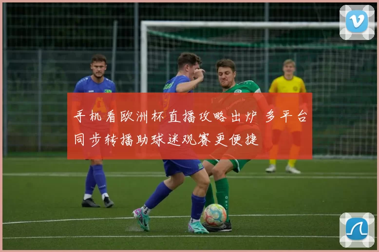 手机看欧洲杯直播攻略出炉 多平台同步转播助球迷观赛更便捷