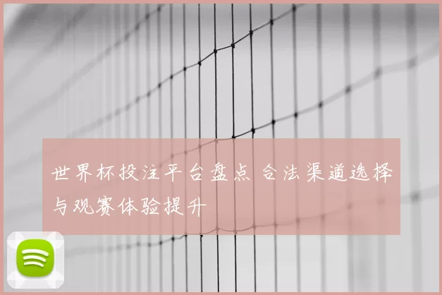 世界杯投注平台盘点 合法渠道选择与观赛体验提升