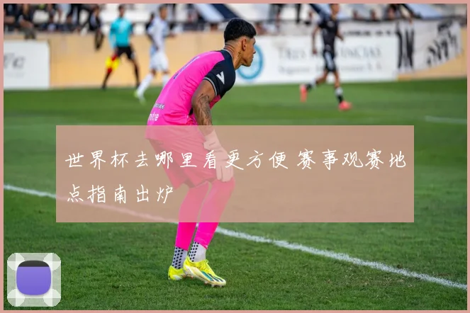 世界杯去哪里看更方便 赛事观赛地点指南出炉